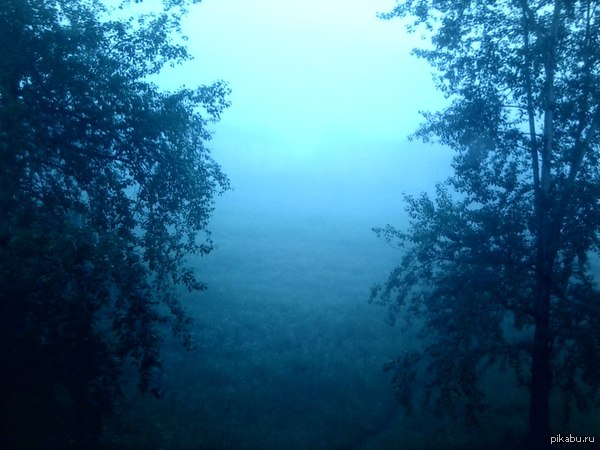 Туман, такой туман