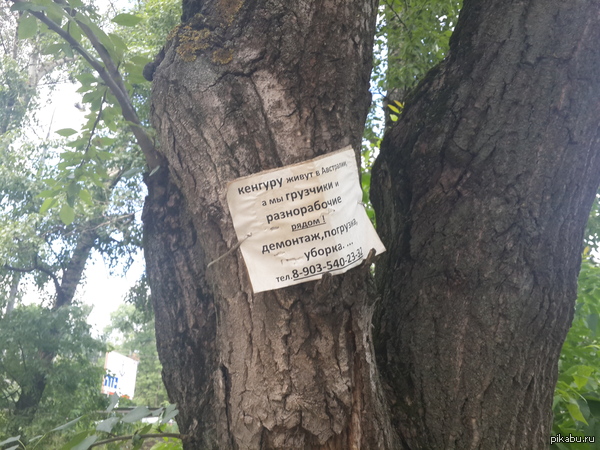 ��� ������� ������������� ����������