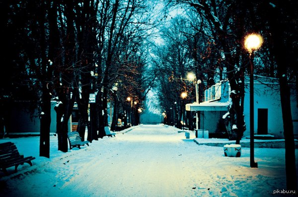 "������ ������"