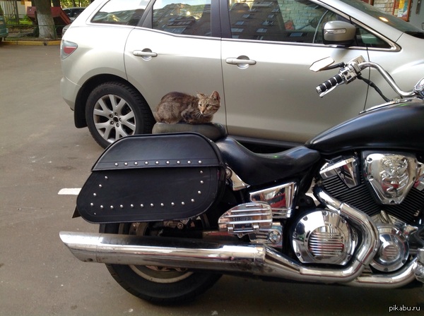 ���, ������� ����� ����� ���������� �� �����