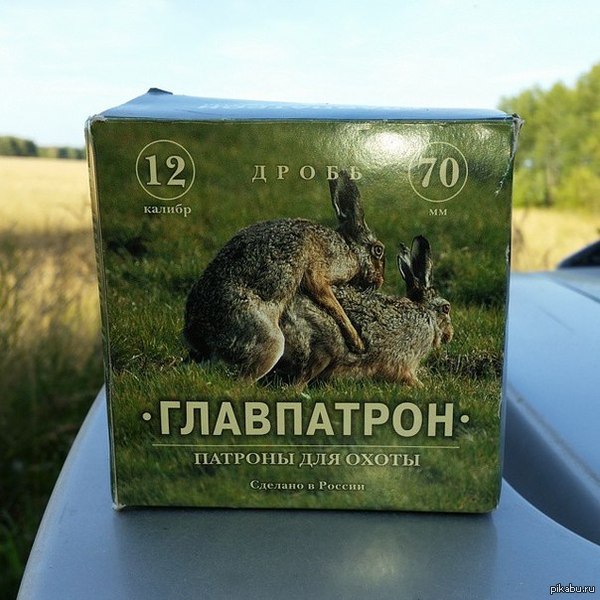 Дробь | Пикабу
