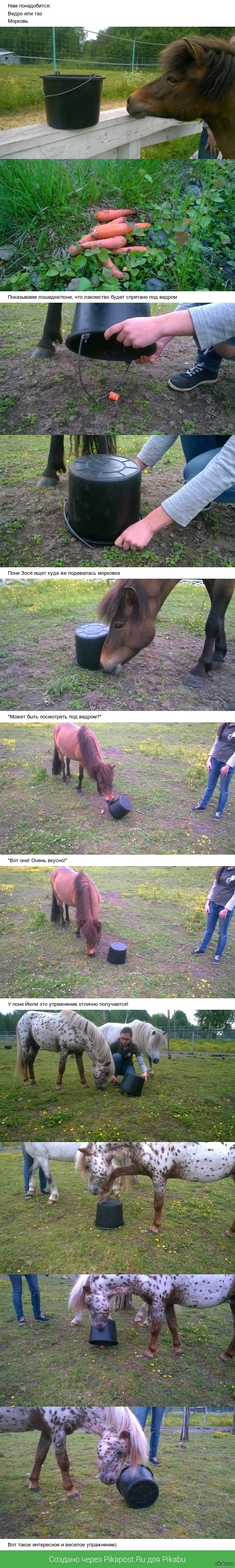 ������ ����