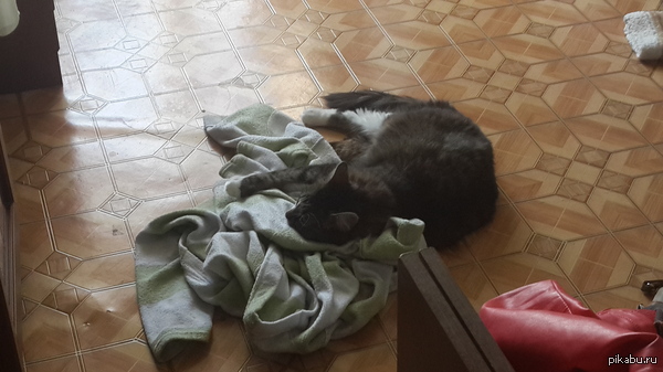 ����� ������ � �������)������ �����)