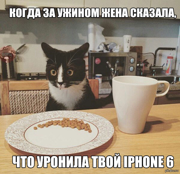...     ,    iPhone 6...