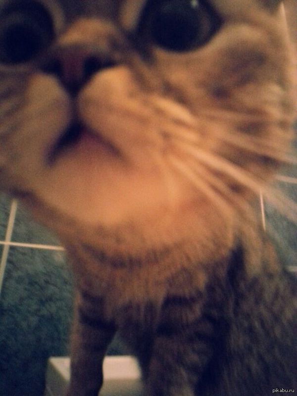 �� ��� �� ��� �������?��?!