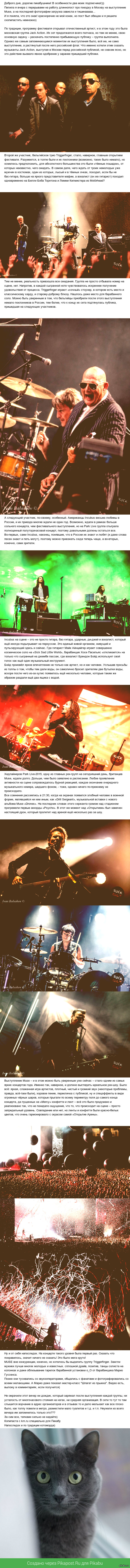 19 . Muse  !