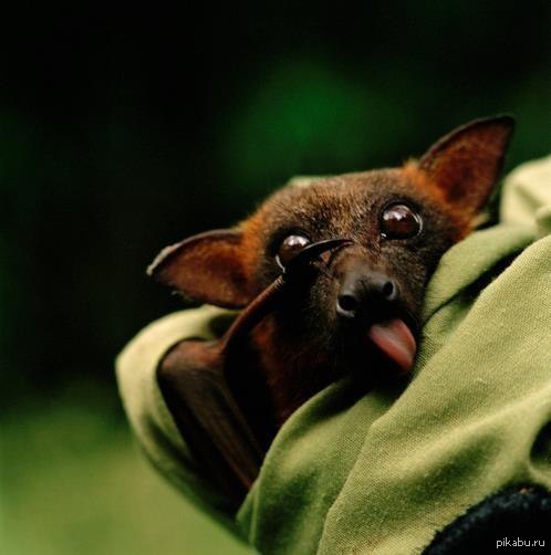 � ����� ��� ������!!