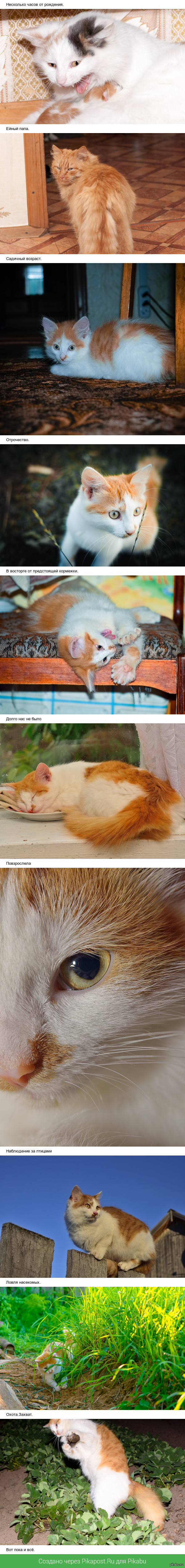 ����� �������.�� �������� � �� ��������� �������.