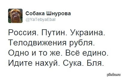 ������� ����������� ������ �� pikabu