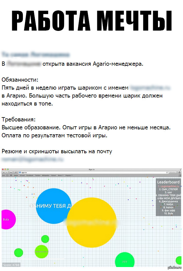 Работа мечты