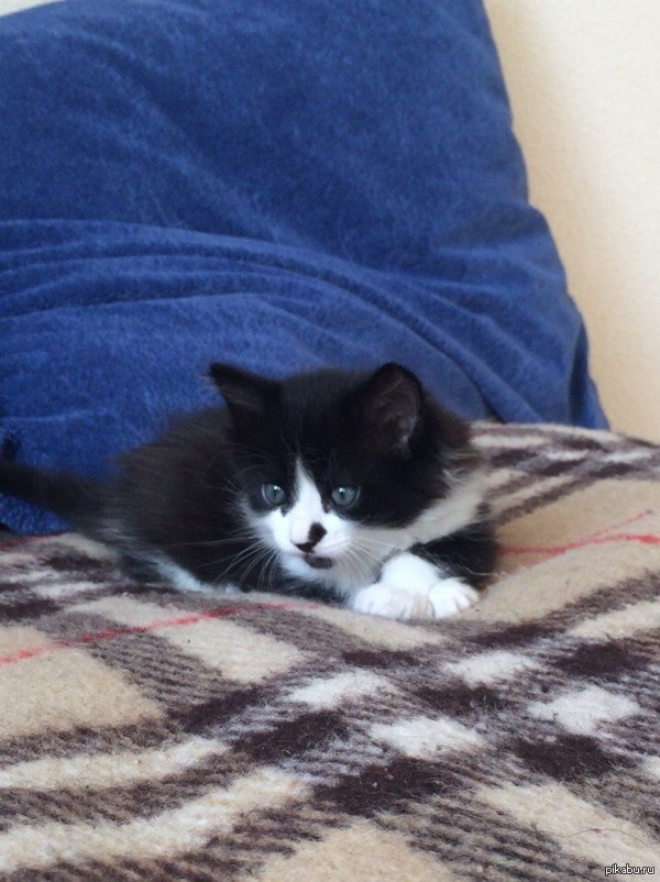 ����� ������� � ������ ����.����� ����