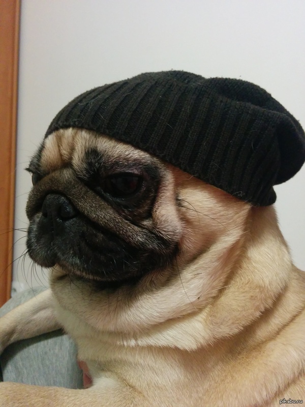 ��� ���� ����