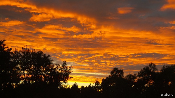 ����� ������� ������