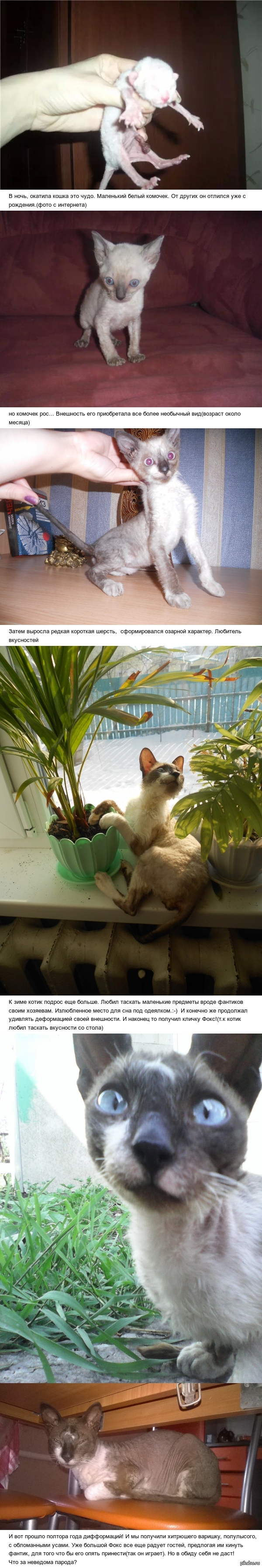 ��� ��� �� ������ ����