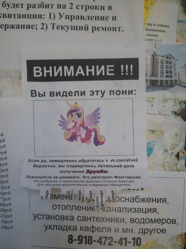 Реклама в подъезде | Пикабу