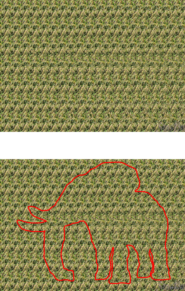    ?   !       