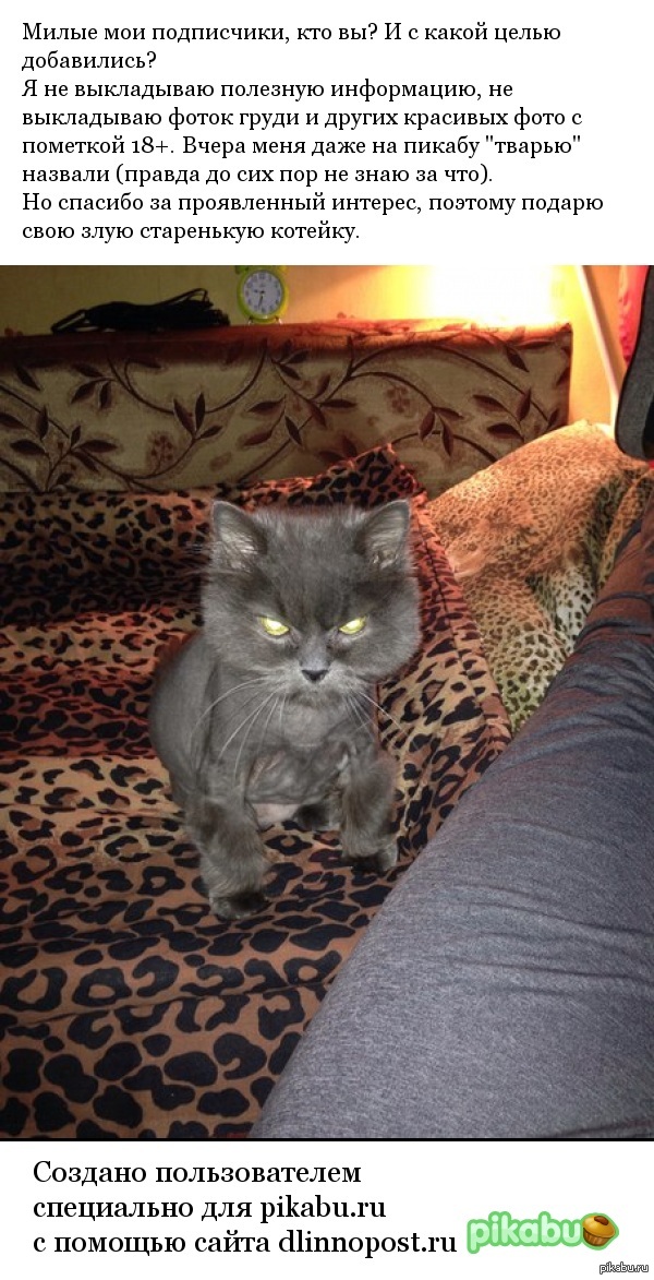 ���� ����������� �����������