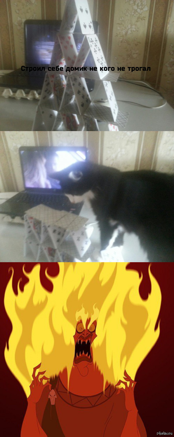 Домик из карт | Пикабу