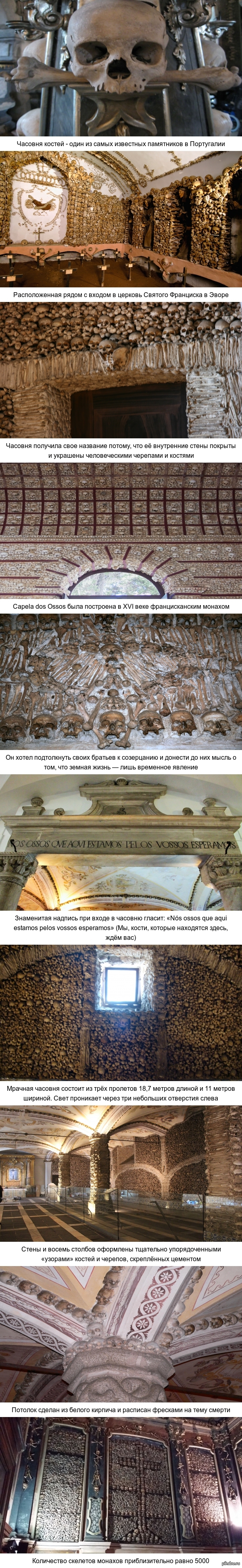 ������� ������ - ���� �� ����� ������ ���� ����������