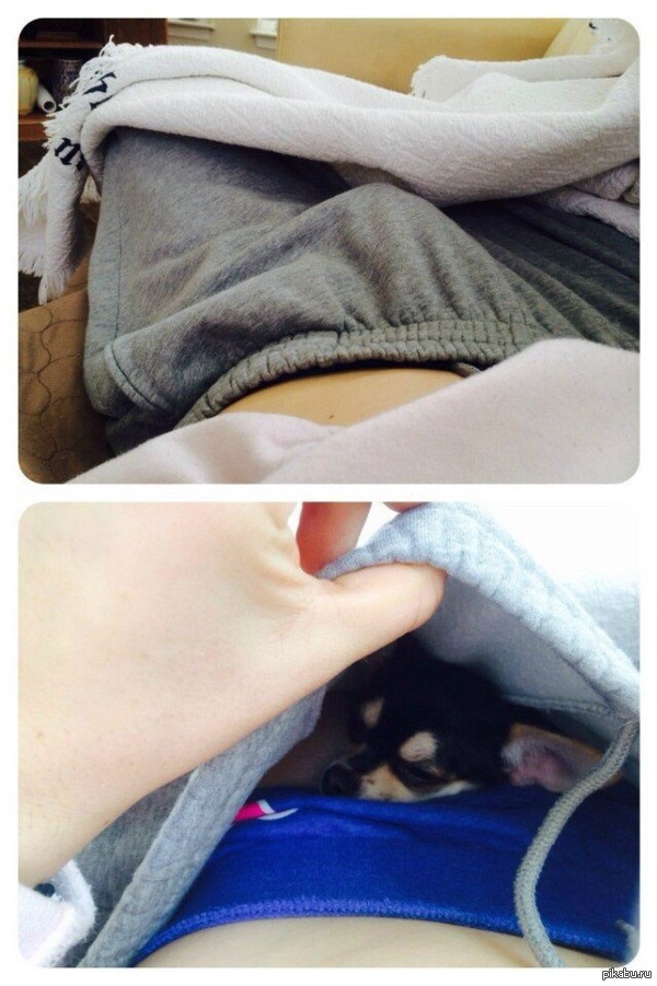 ����, ������ ������... ���� ���.