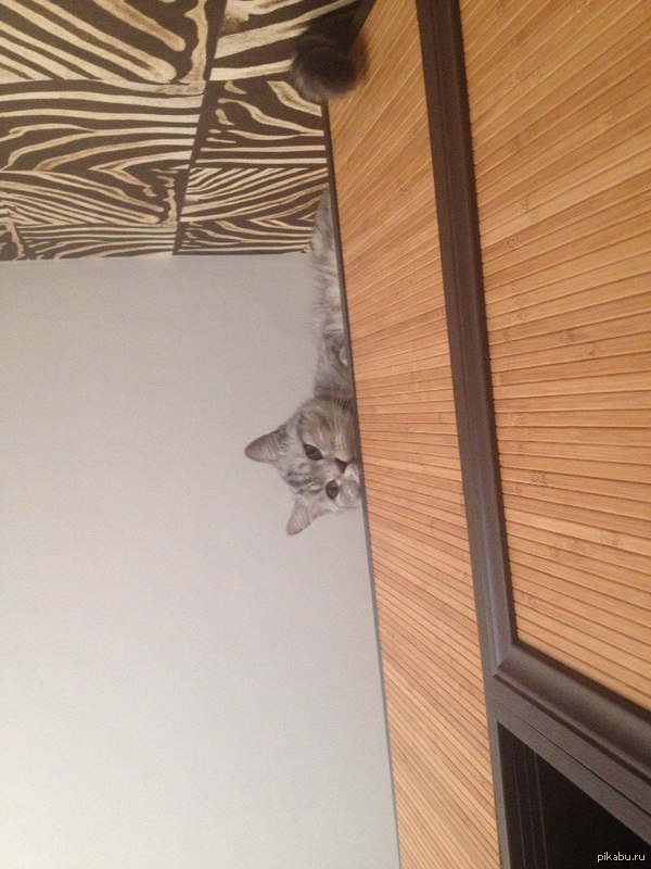 ������ ����!