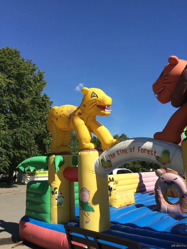 �� ������� �� ����, ��� ������