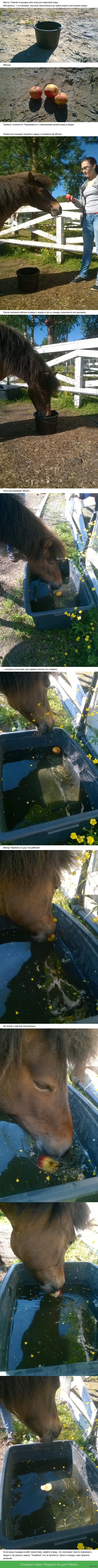 ������ � ����� � �����