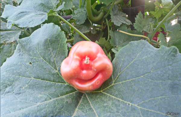 ��� ����� ������� ����� � ��� � �������