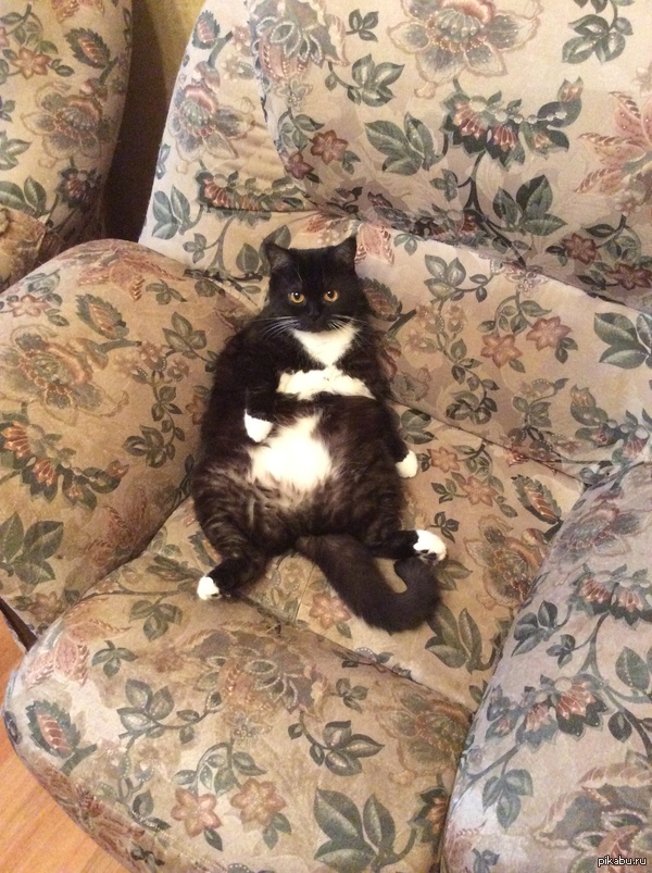 � ��� �� ��������� ��� ����?!=)