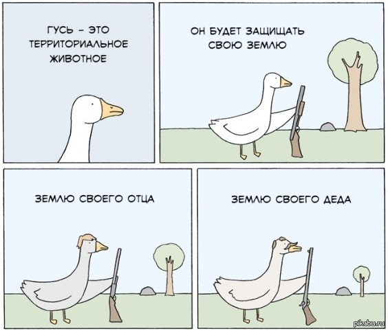 Гусь защитник