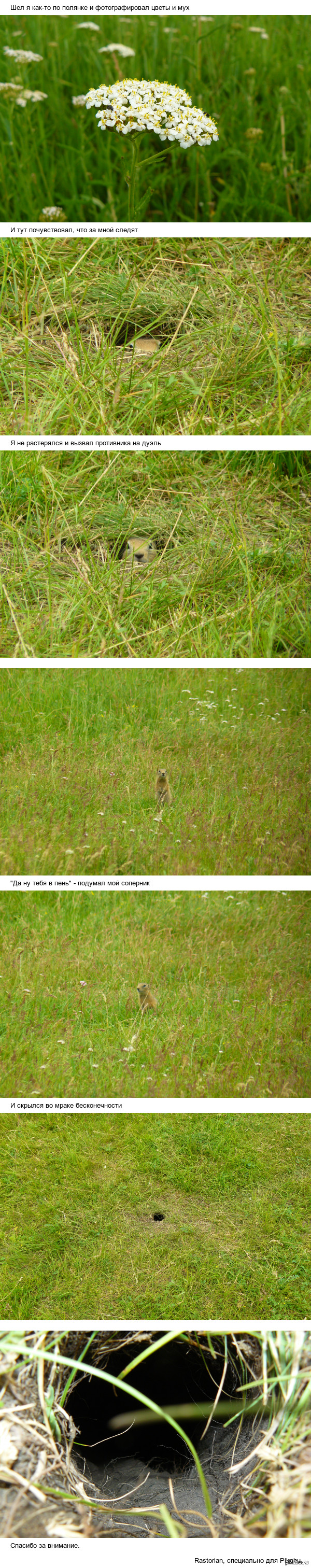 ��������������. ������� � ���������.