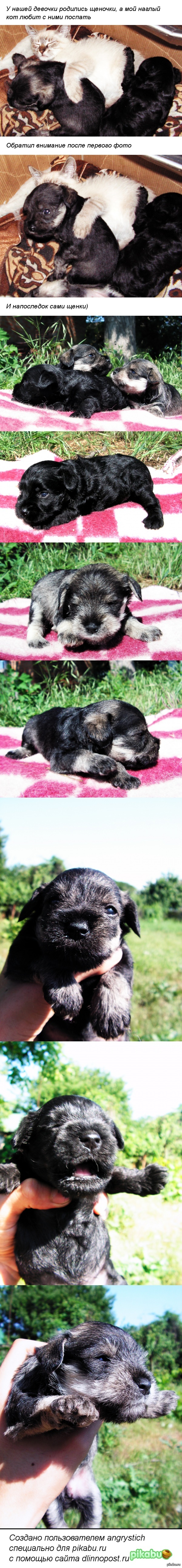 ����� ������ ������