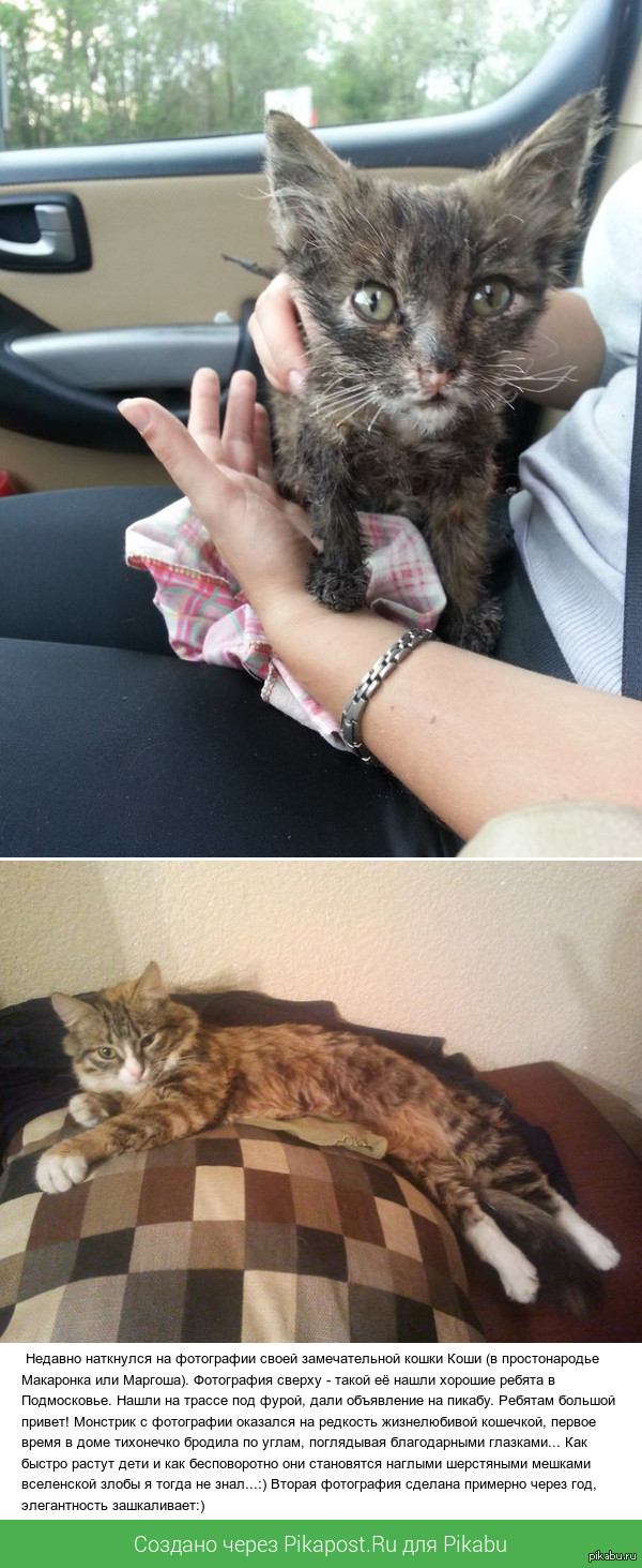 ��� ��� ������� ��� ������� ����������� �������!