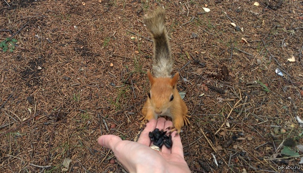 ����� � ����� � ����� �� ����� :) ��������� ������ ������ �����. ��� ����� �����?)