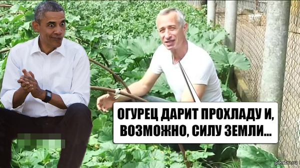 мем с огурцом сила земли. Смотреть фото мем с огурцом сила земли. Смотреть картинку мем с огурцом сила земли. Картинка про мем с огурцом сила земли. Фото мем с огурцом сила земли