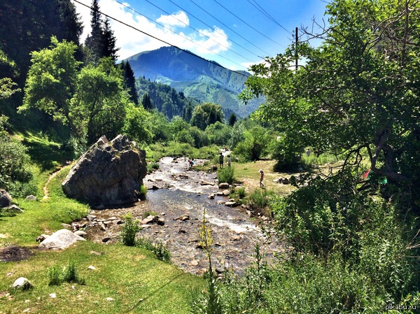 ���� ������