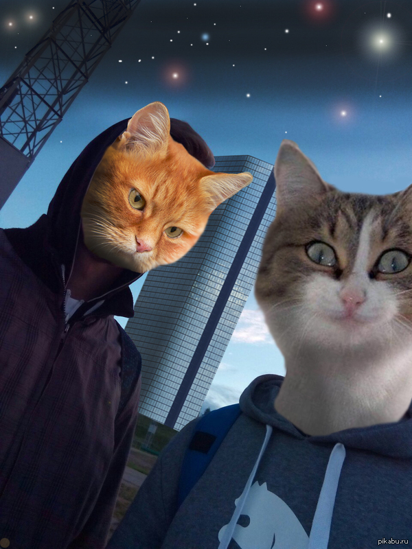 Селфи из ближайшего будущего