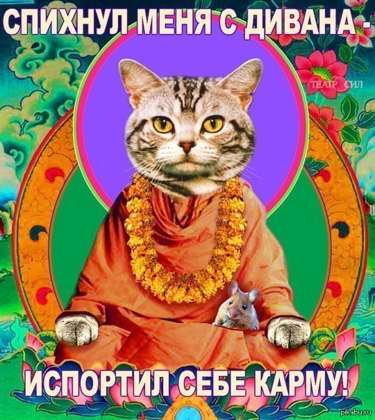 Котики, буддизм. - Кот, Буддизм, Помощь