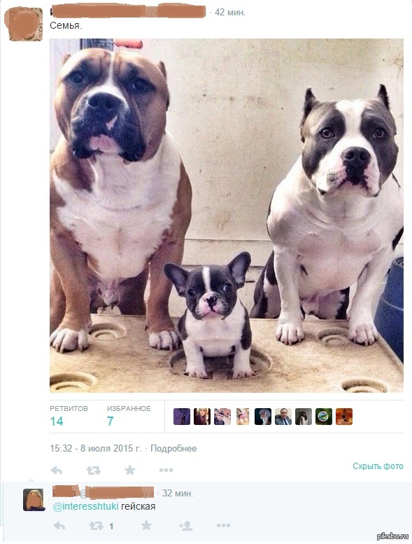 Метко от женщины | Пикабу