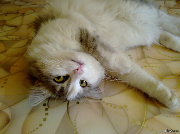 Вот как-то так...