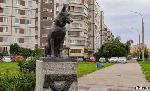 Собака костя. Памятник собаке в Тольятти. Памятник преданности Тольятти. Памятник собаке Константин в Тольятти. Памятник Хатико в Тольятти.