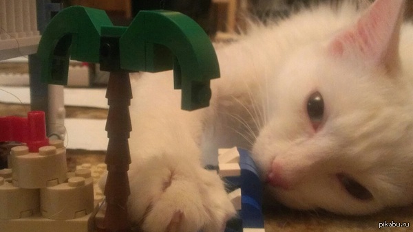 �������)