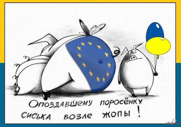 Очко вблизи. Приколы про Украину и Евросоюз. Приколы про Евросоюз. Украина и ЕС приколы. Хохлы в Евросоюзе.