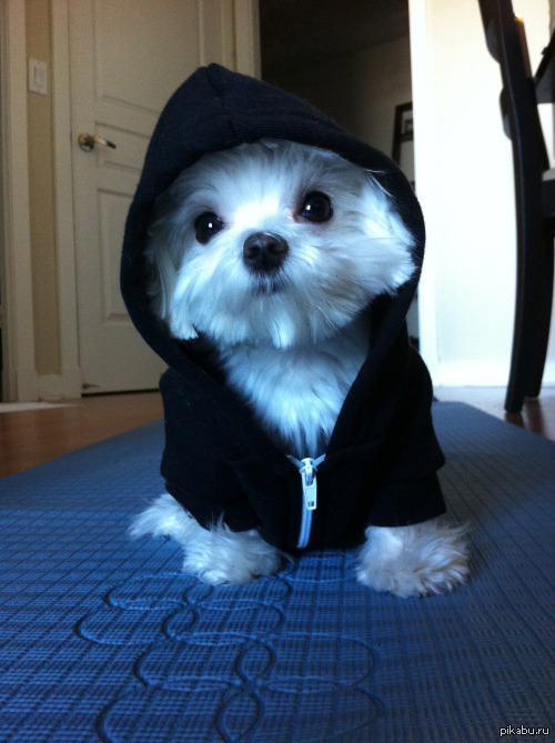 ������ ���� ������� � �����