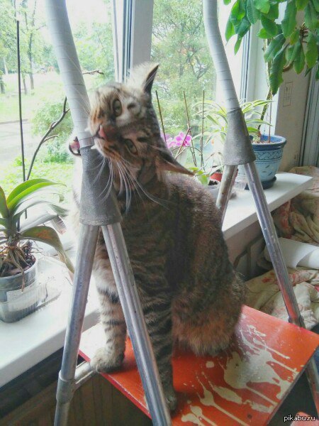 �� - �� ��, ����� �������!