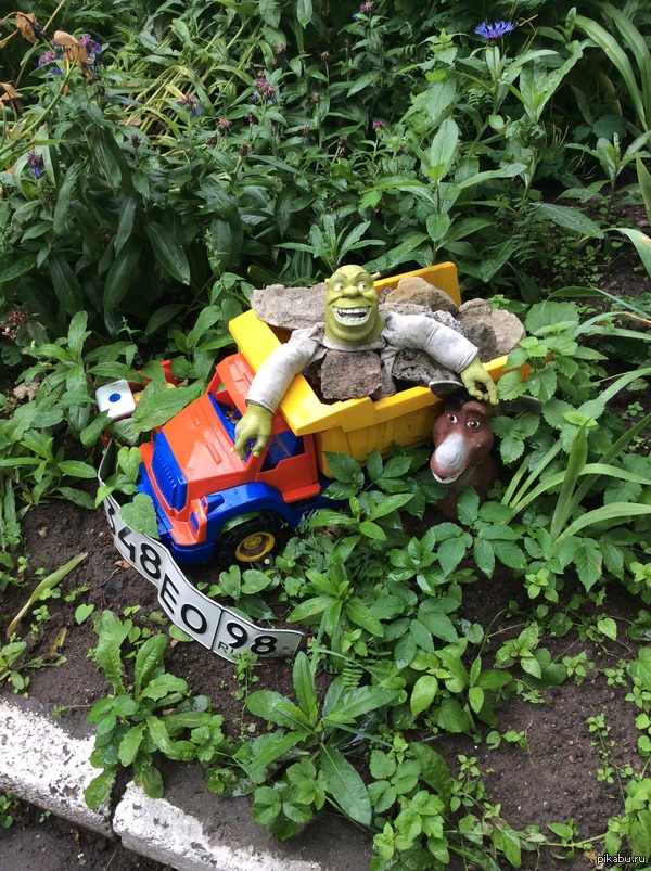 ���� � ������ :)