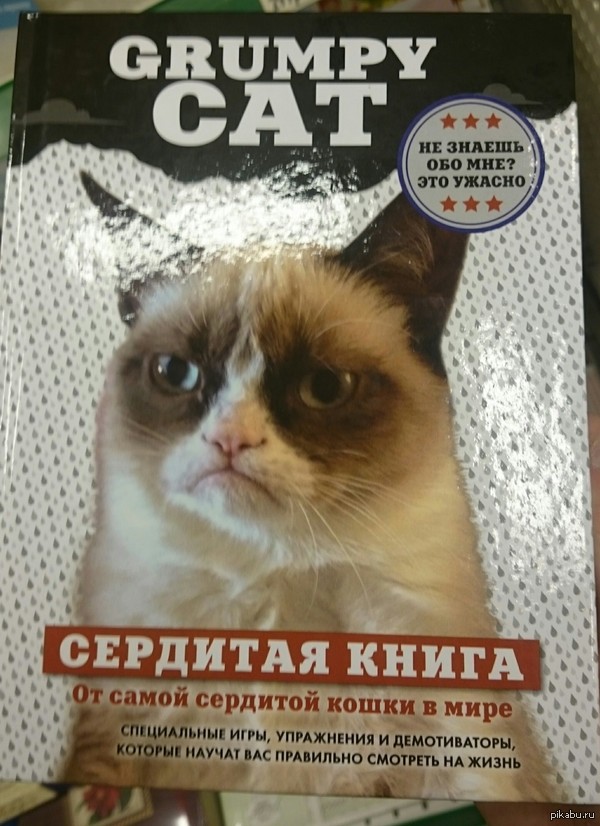 ������� � ��������