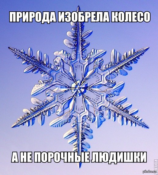 Колесо от природы