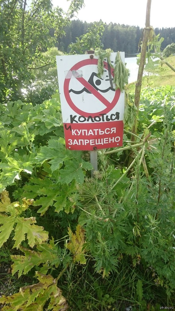 Пошел я на озеро... | Пикабу