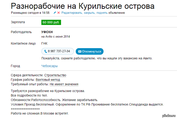           - https://www.avito.ru/cheboksary/vakansii/raznorabochie_na_kurilskie_ostrova_605245225